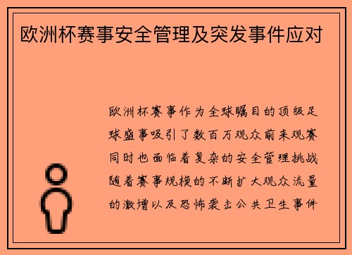 欧洲杯赛事安全管理及突发事件应对