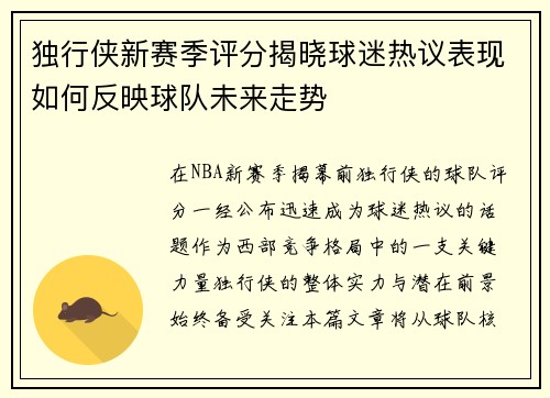 独行侠新赛季评分揭晓球迷热议表现如何反映球队未来走势